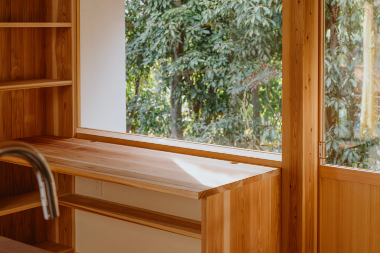 白樫の生垣が見える窓